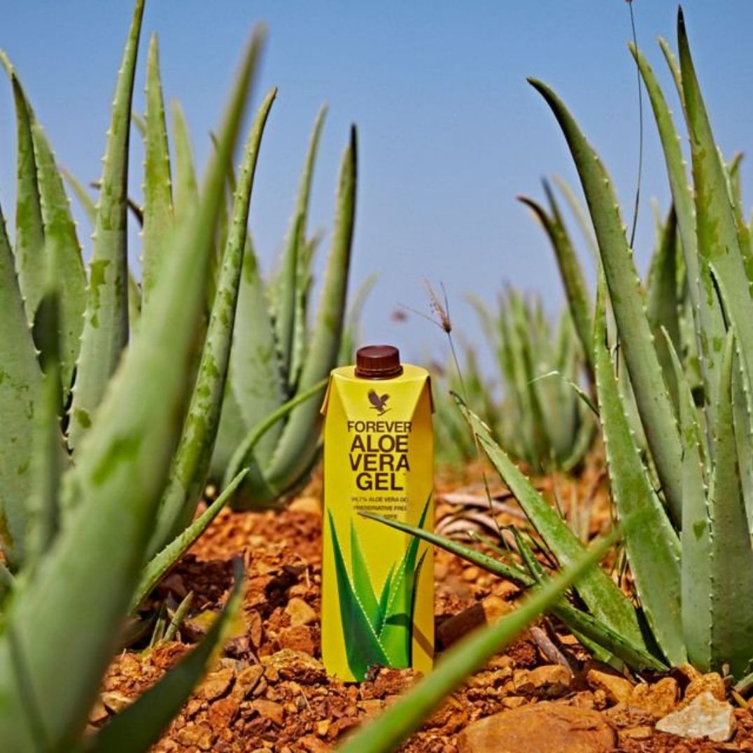 Forever Aloe Vera Gel™ – Bild 2